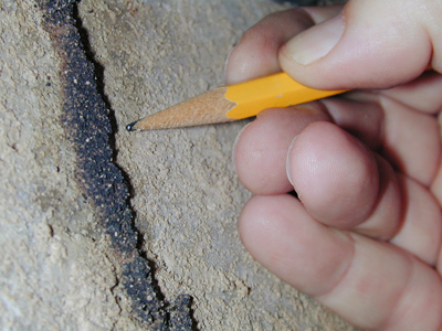 Hollow tubes constructed from soil, climbing up a foundation is a sign of termite activity.