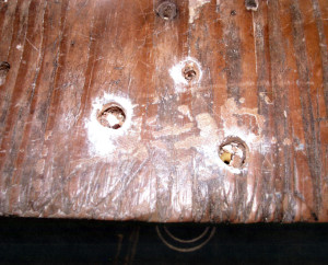 Closeup of three holes with plaster removed.  Hole on right has wasp larva.