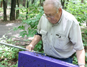Dr. Charlie Helpert, Texas AgriLife Extension Service, checks the purple sticky traps being used to monitor for emerald ash borer in state parks around Texas.