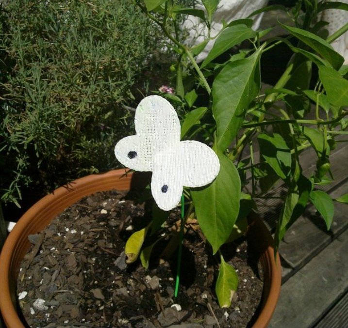 This plastic model of a cabbage white butterfly in pot