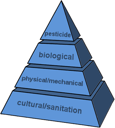 IPM pyramid