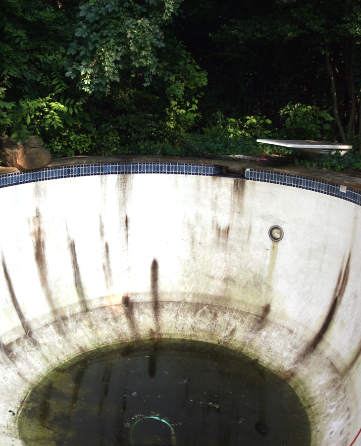 Neglected pools can become breeding sites for thousands of mosquitoes