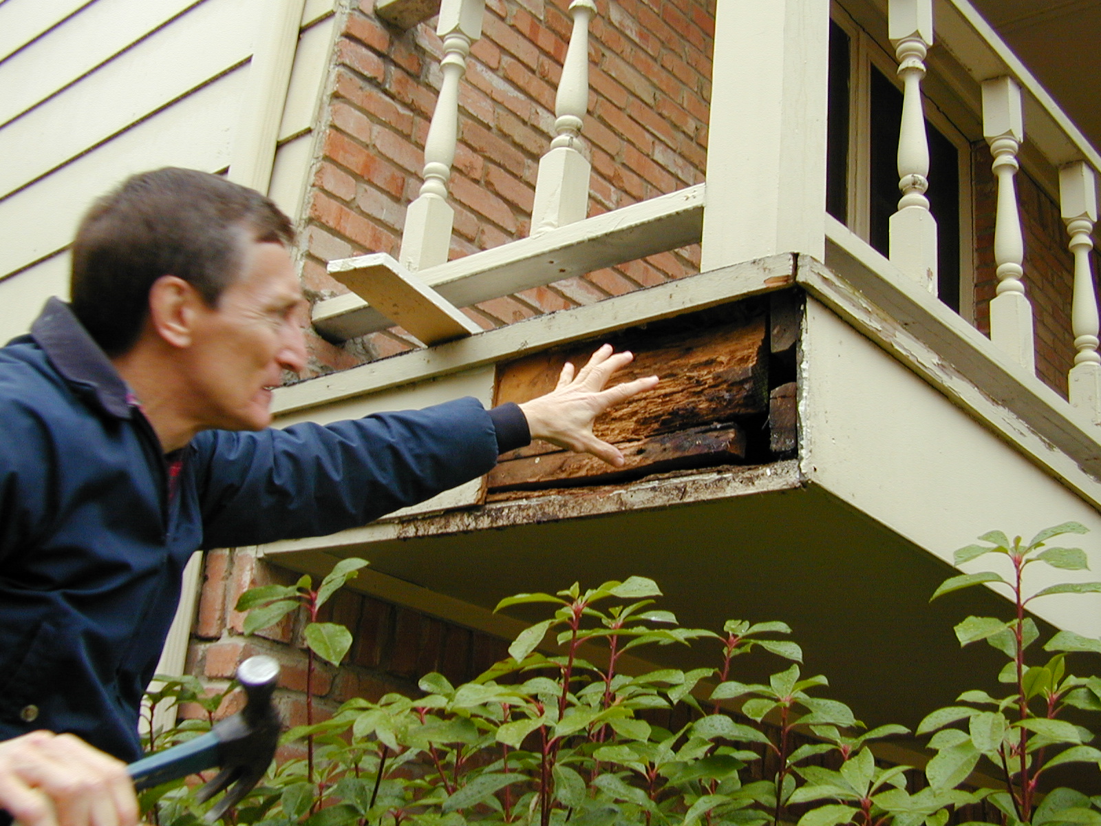 While bee swarms are generally harmless, bee colonies that get into the home can be an expensive problem.