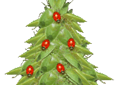 buggy xmas-tree