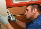 placing cockroach gel bait under kitchen counter