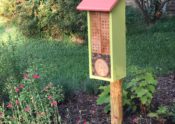 bee hotel